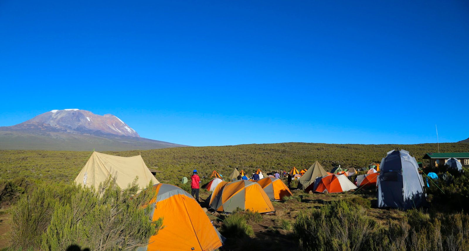 8-Day Mt Kilimanjaro Lemosho Route Trek