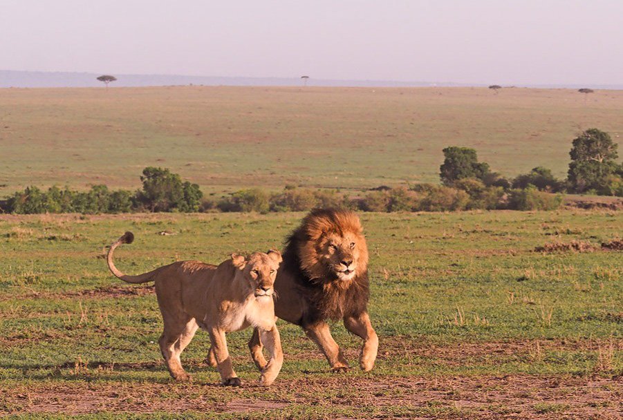 Tanzania Classic Tours
