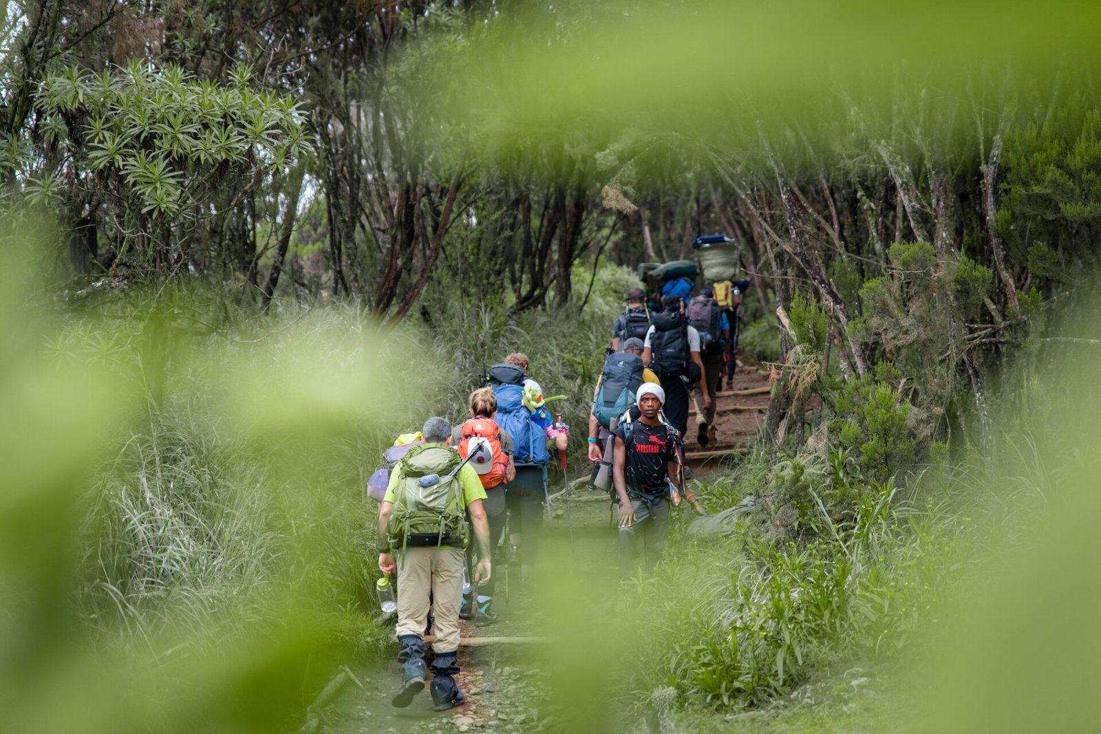 6-Day Machame Route Best of Climb Kilimanjaro