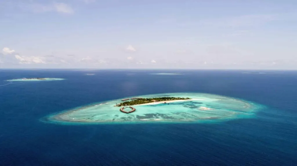 10-Day Tanzania Wildlife Safari § Zanzibar Beach Relaxation Tour