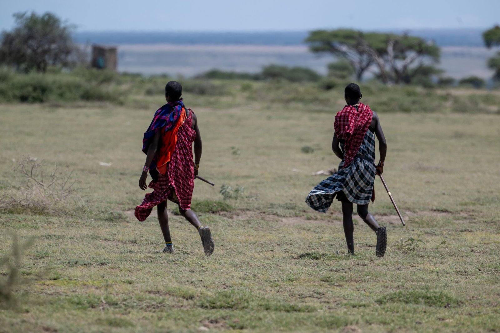 Maasai Culture