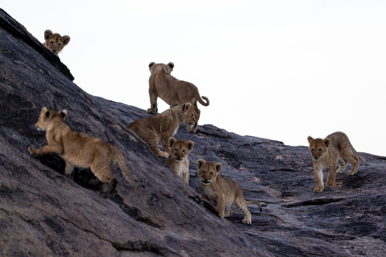 Central Serengeti National Park