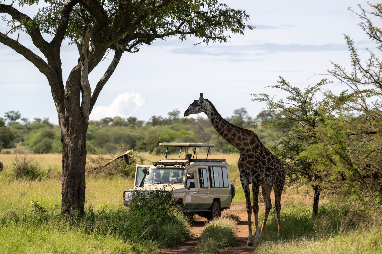 Serengeti Safari Tour (3)