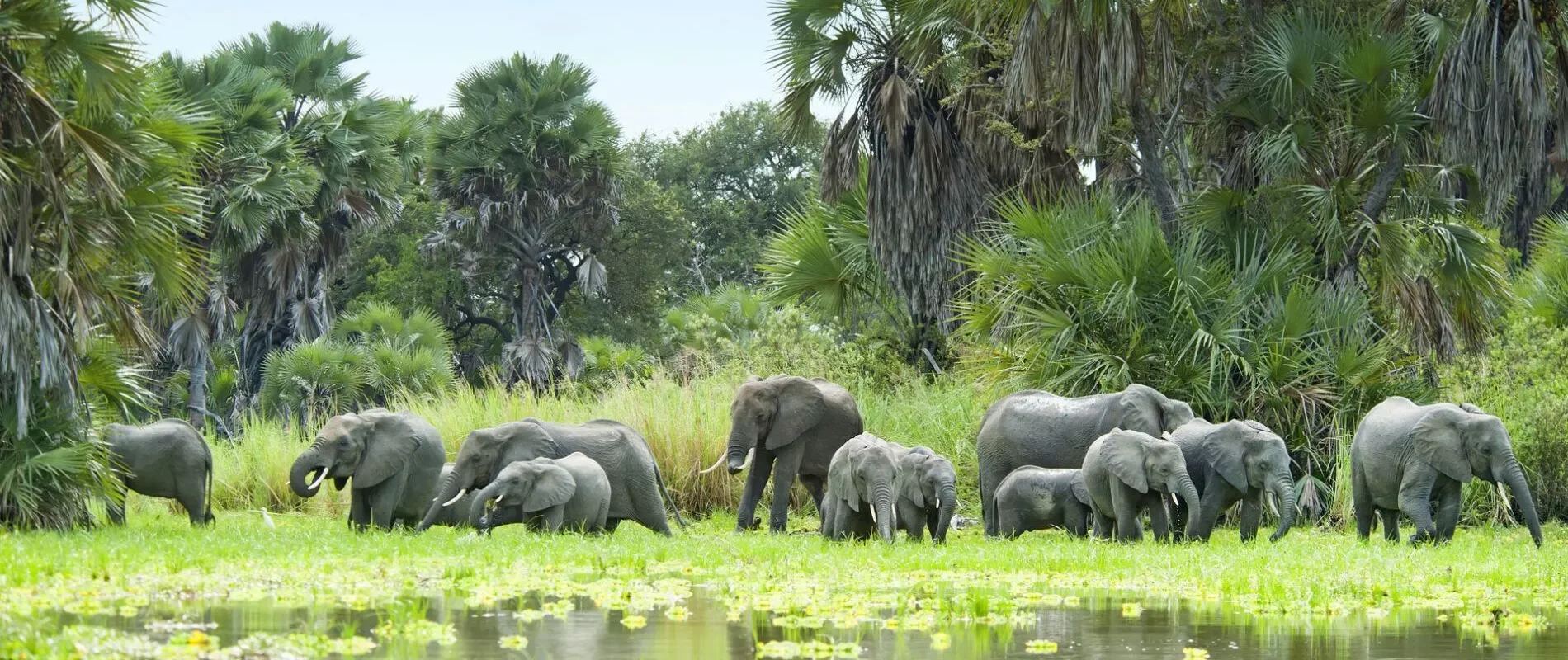 Selous National Park