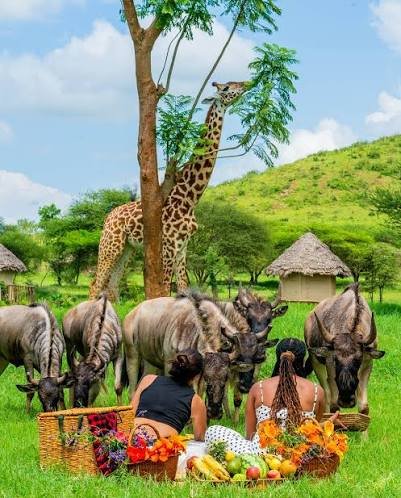 Serval Wildlife Lodge