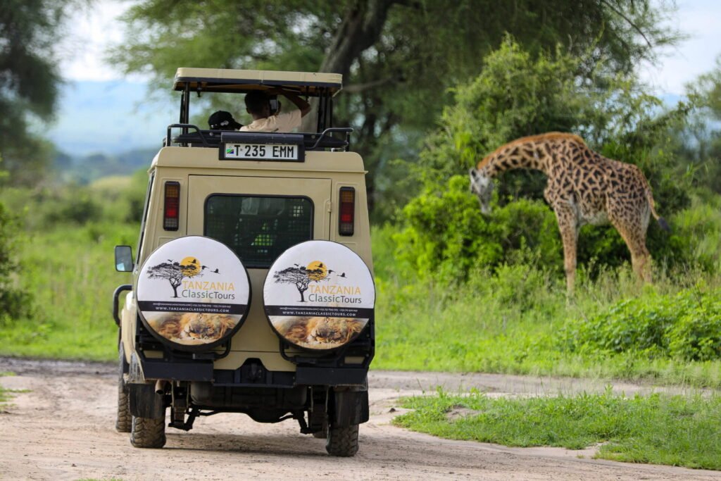 Africa Safari Lago Natron