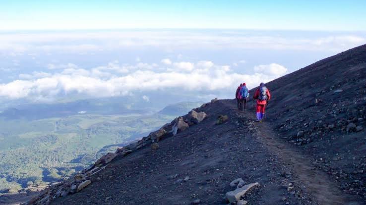 7-Day Mount Meru Climb & Tanzania Wildlife Safari