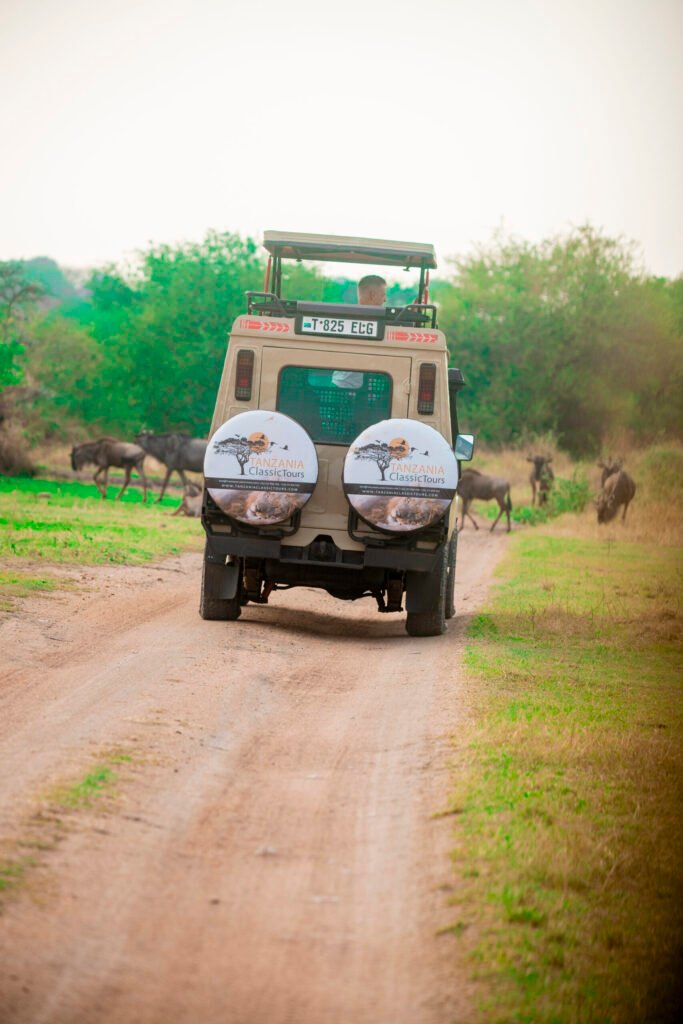 5 Days Honeymoon Fly-In Safari – Serval & Serengeti