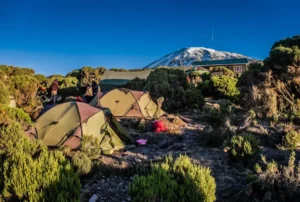 Shira camp on the mount Kilimanjaro