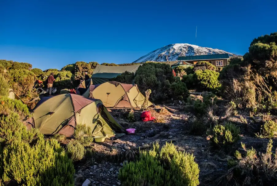 Shira camp on the mount Kilimanjaro