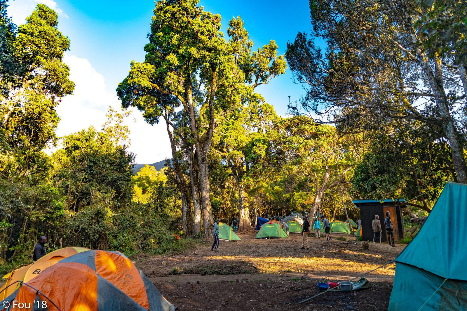 Mti mkubwa Camp on the mount Kilimanjaro