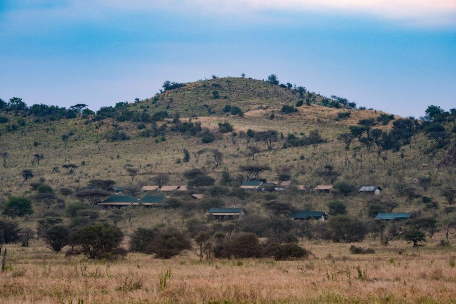 Nyikani Camp- Central Serengeti