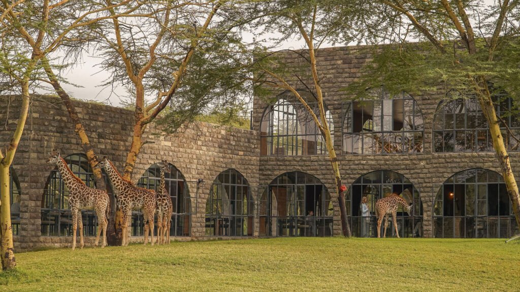 Giraffe Manor Tanzania